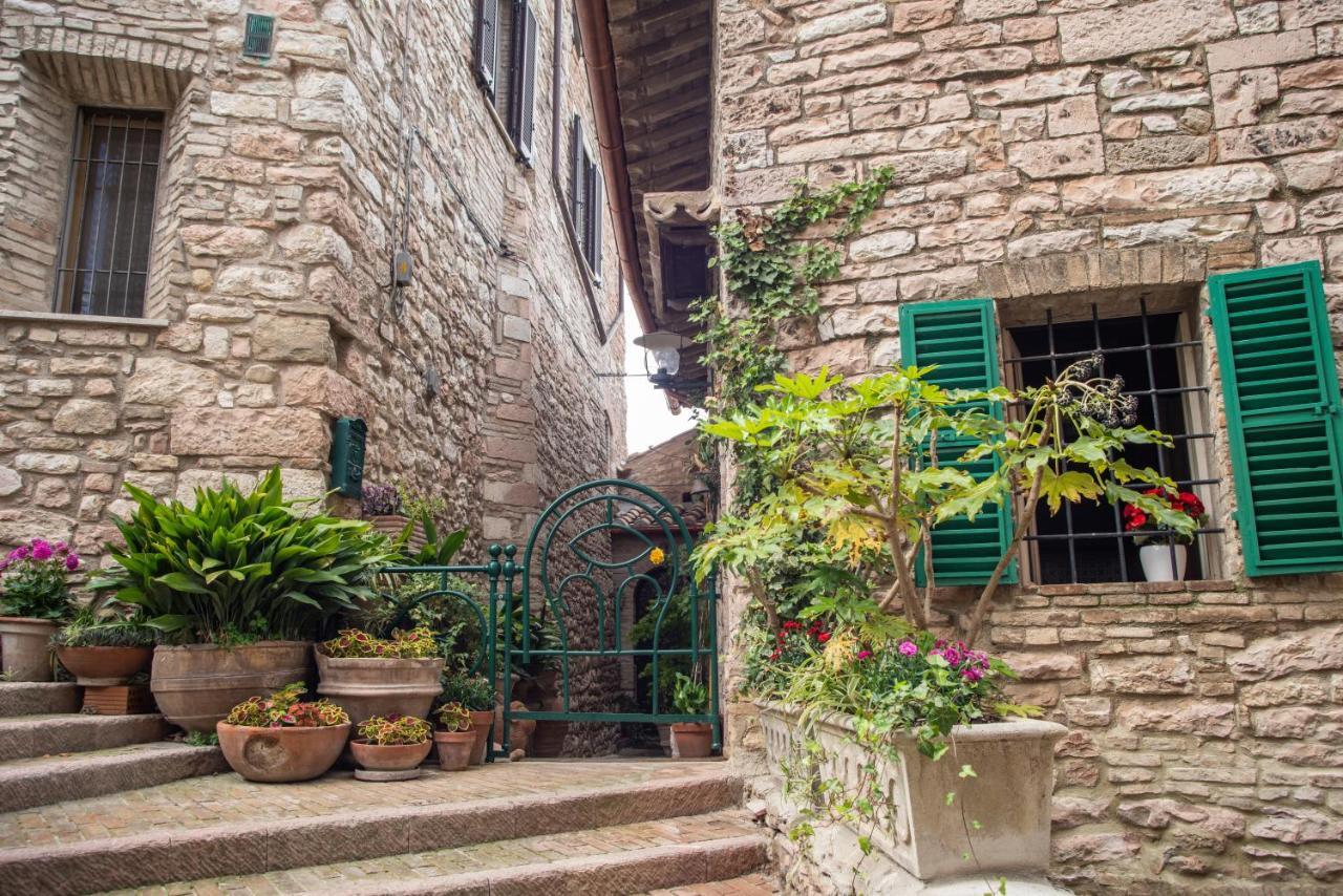 Hotel La Viola di Assisi Esterno foto