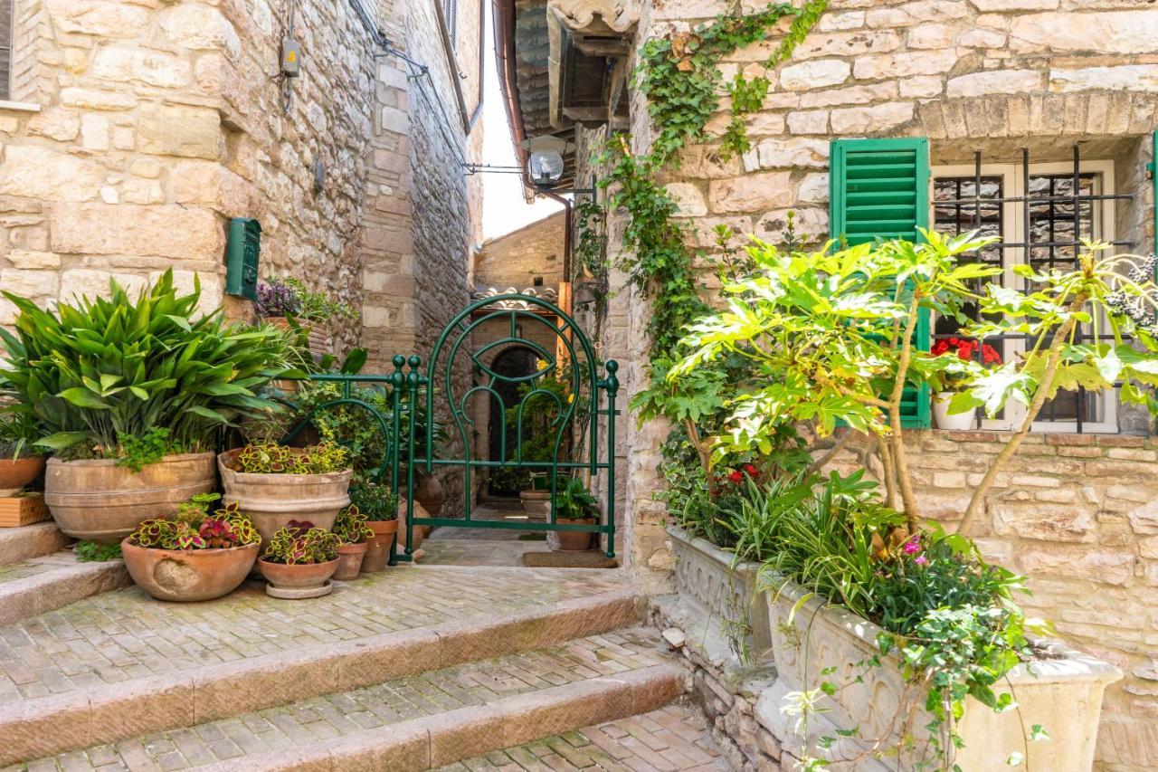 Hotel La Viola di Assisi Esterno foto