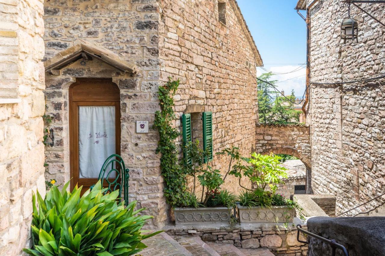 Hotel La Viola di Assisi Esterno foto